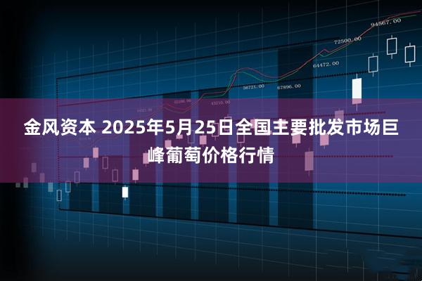 金风资本 2025年5月25日全国主要批发市场巨峰葡萄价格行情
