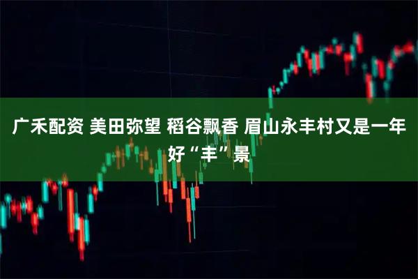 广禾配资 美田弥望 稻谷飘香 眉山永丰村又是一年好“丰”景