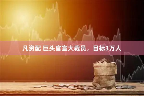 凡资配 巨头官宣大裁员，目标3万人
