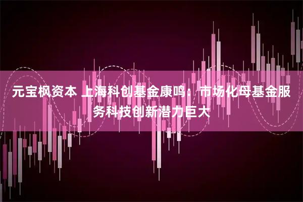 元宝枫资本 上海科创基金康鸣：市场化母基金服务科技创新潜力巨大