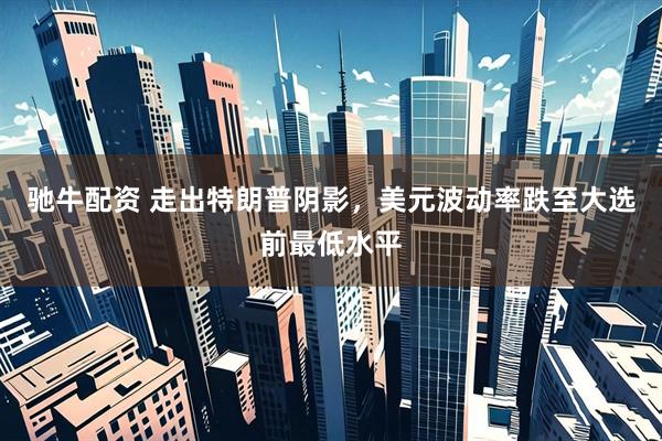 驰牛配资 走出特朗普阴影，美元波动率跌至大选前最低水平